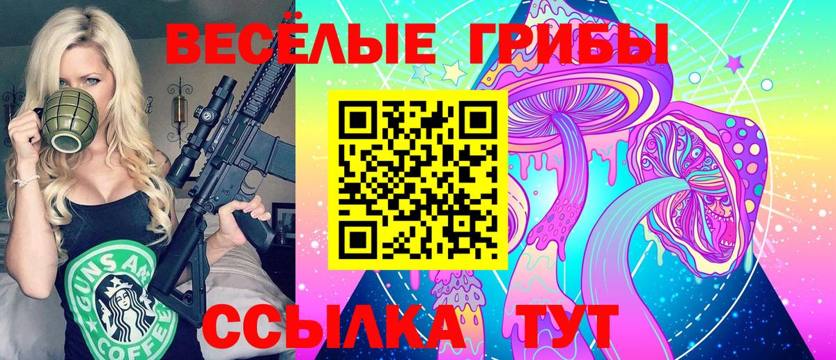 Галлюциногенные грибы Magic Shrooms Саранск